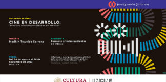 El Imcine Invita al Diplomado “Cine En Desarrollo: Miradas Afrodescendientes en México” - AlternativaTlx