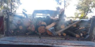SSC Aseguró Camioneta con Material Forestal en Huamantla - AlternativaTlx