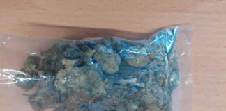 Ssc Detiene en Totolac a Persona por Posesión de Marihuana - AlternativaTlx