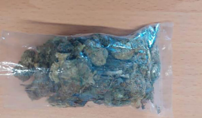 Ssc Detiene en Totolac a Persona por Posesión de Marihuana - AlternativaTlx