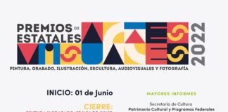 Lanza la Secretaría de Cultura Convocatoria para Premios de Artes Visuales 2022