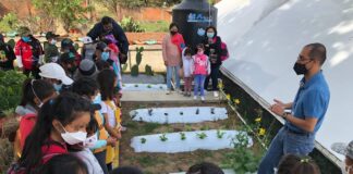 Alumnos de la Primaria Bilingüe “Tepeyolotzin” Visitan Invernadero Didáctico de la SEPE-USET