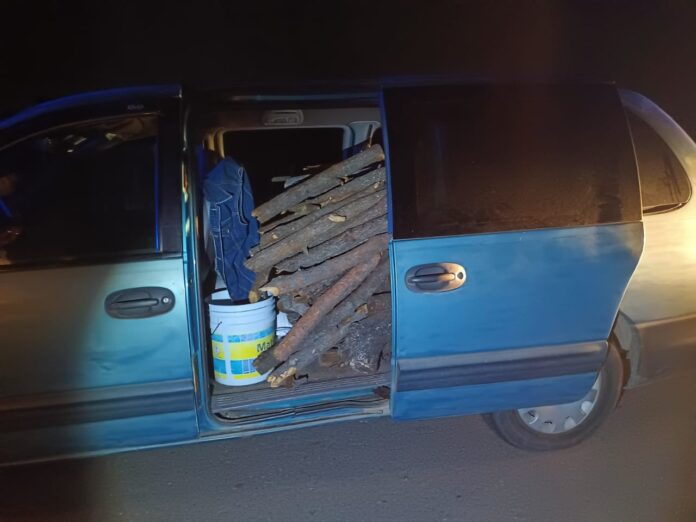 Policía de Montaña Asegura Dos Vehículos con Materia Prima Forestal en la Malinche y Tlaxco