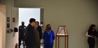 Llega al MAT la Exposición “Escucha Profunda: Prácticas Hacia el Mundo al Revés”