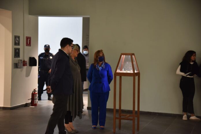 Llega al MAT la Exposición “Escucha Profunda: Prácticas Hacia el Mundo al Revés”