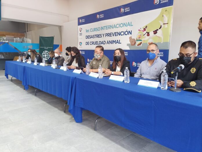 Recibe la DBA Capacitación Internacional Sobre Desastre y Prevención de Crueldad Animal