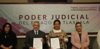 Personal de Ceavo y PGJE Recibirán Capacitación del TSJE Sobre Acceso de Justicia para Adolescentes