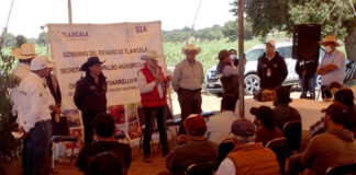 Atiende SIA a 199 Productores de Durazno en 16 Municipios de la Entidad - AlternativaTlx