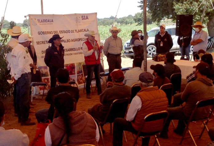Atiende SIA a 199 Productores de Durazno en 16 Municipios de la Entidad - AlternativaTlx