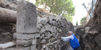 Hallan Muro Novohispano Bien Preservado en la Lagunilla, Een la CDMX - AlternativaTlx