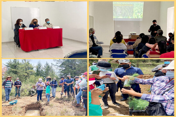 Impulsa UATx Restauración de Ecosistemas Forestales - AlternativaTlx