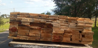 Inicia PGJE Investigación por Encubrimiento y Cohecho al Transportar Madera de Forma Ilícita - AlternativaTlx