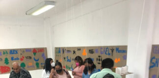 Los Tiempos de Cosecha Llegan a los Semilleros Creativos - AlternativaTlx