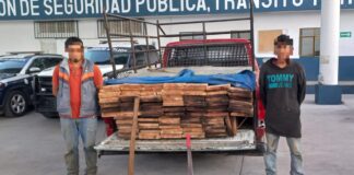 Detiene Policía Municipal a Dos Personas con Material Forestal sin Acreditar