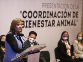 Presidió Gobernadora Lorena Cuéllar Presentación de la Coordinación de Bienestar Animal