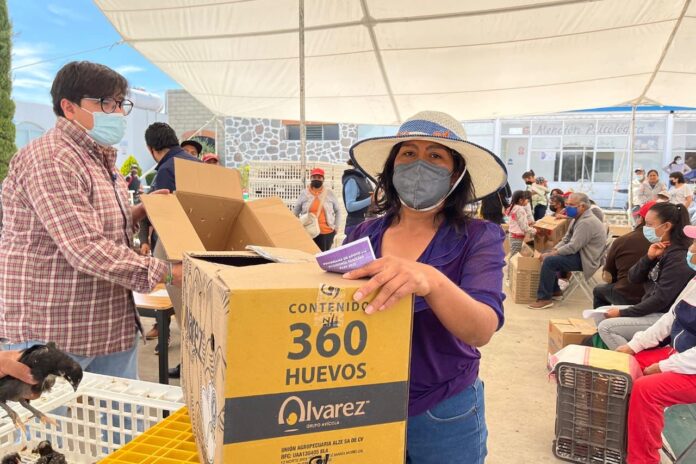 Se Benefician más de 100 Familias de Huamantla con la Entrega de Paquetes de Aves de Traspatio