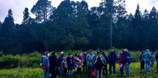 Arriban al Santuario de las Luciérnagas más de 10 Mil Visitantes Durante el Fin de Semana - AlternativaTlx