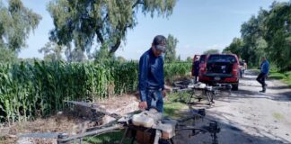 Convoca SIA a Participar como Expositores en Feria del Conocimiento, Ciencia e Innovación Tecnológica para el Campo - AlternativaTlx