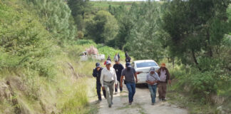 Estrangulamiento, Causa de Muerte de Hombre de Origen Alemán: PGJE - AlternativaTlx