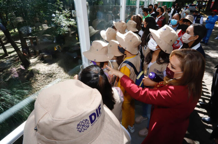 Inaugura Gobernadora el “Curso de Verano Salvaje: Educar para Conservar” del SEDIF - AlternativaTlx