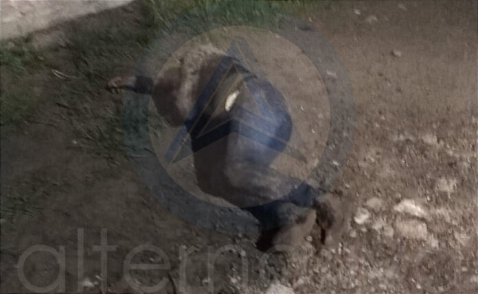 Muere Hombre en Vía Pública de Apizaco - AlternativaTlx