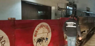 Supervisa Protección Civil de Huamantla Instalación de Burladeros - AlternativaTlx
