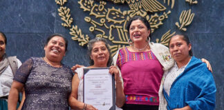 Conejo Horneado Relleno con Flores Silvestres y Tamales de Flor de Izote, Recetas Ganadoras de la Convocatoria ¿A qué Sabe la Patria? 2022 - AlternativaTlx