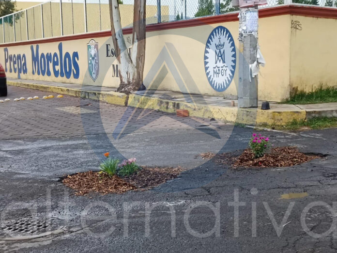 Plantan Flores de Ornato en Baches de la Capital de Tlaxcala - AlternativaTlx