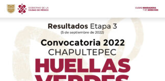 Se Anuncian los Proyectos Ganadores de la Convocatoria “Huellas Verdes” - AlternativaTlx