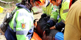 Tlaxcala, Preparado para el Simulacro Nacional 2022 - AlternativaTlx