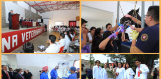 Celebró UATx 38 Años del Programa Académico de Veterinaria - AlternativaTlx