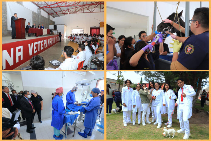 Celebró UATx 38 Años del Programa Académico de Veterinaria - AlternativaTlx
