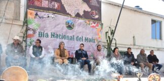 Conmemoran el Día Nacional del Maíz en Tlaxcala - AlternativaTlx