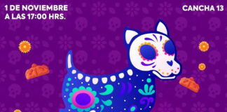 Convoca Gobierno de Huamantla al Concurso de Disfraces de Mascotas “Perrorífico” - AlternativaTlx