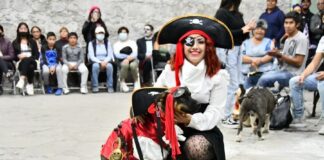 Con Gran Participación y Ambiente Familiar se Realiza el Concurso de Disfraces “Perrorífico” - AlternativaTlx