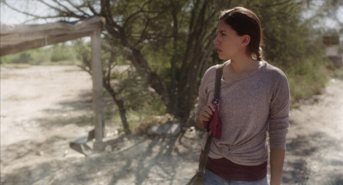 Cortometraje Producido en la Primera Edición de “Huellas Verdes” Recibe Premio - AlternativaTlx