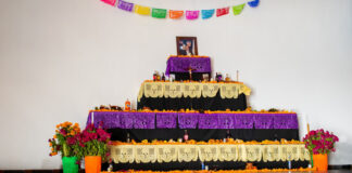 En la Universidad Metropolitana de Tlaxcala Fomentan Tradiciones por el Día de Muertos - AlternativaTlx