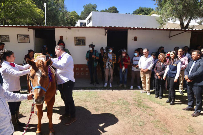 Inaugura Gobernadora Servicio de Equinoterapia en el Sistema Estatal DIF - AlternativaTlx