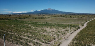 Invita Ayuntamiento de Huamantla y SIA a Productores a Realizar su Análisis de Suelo - AlternativaTlx
