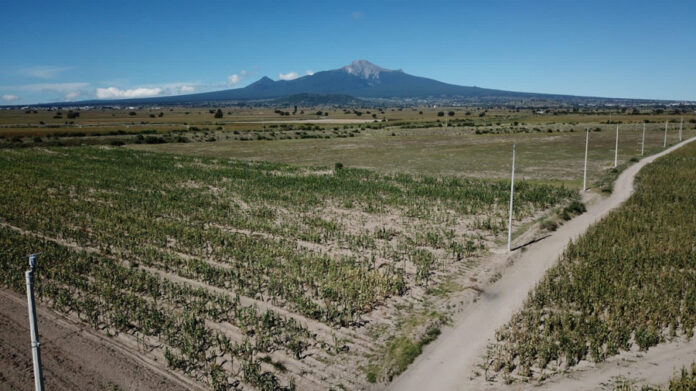 Invita Ayuntamiento de Huamantla y SIA a Productores a Realizar su Análisis de Suelo - AlternativaTlx Invita Ayuntamiento de Huamantla y SIA a Productores a Realizar su Análisis de Suelo - AlternativaTlx