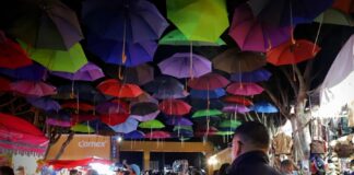 Mantiene SSC Compromiso con la Ciudadanía Tlaxcalteca, Saldo Blanco en la “Gran Feria Tlaxcala 2022” y Buen Fin - AlternativaTlx