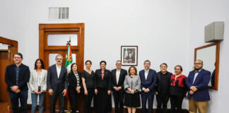 Nueva Etapa en Canal 22, Fonoteca Nacional, Ex Teresa Arte Actual y Museo Nacional del Palacio de Bellas Artes - AlternativaTlx