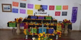 Recomienda IMSS Tlaxcala Disfrutar Fiestas de Muertos con Moderación - AlternativaTlx