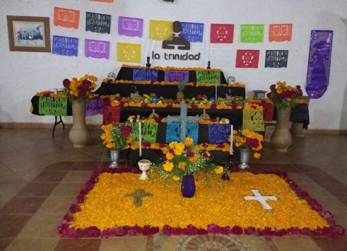 Recomienda IMSS Tlaxcala Disfrutar Fiestas de Muertos con Moderación - AlternativaTlx