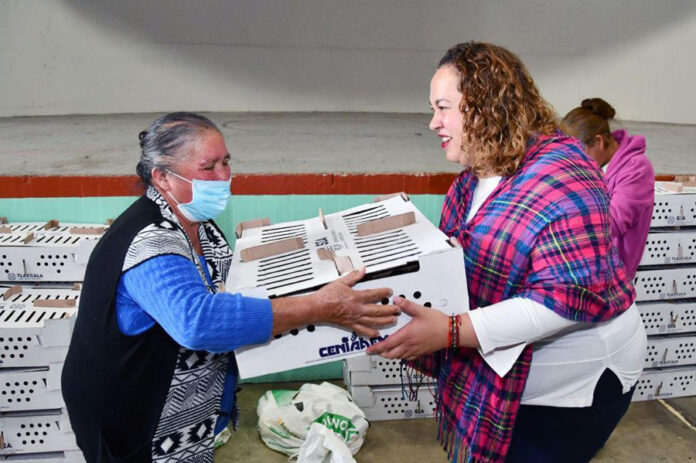 Se Benefician más de 180 Familias con la Entrega de Paquetes de Aves de Traspatio en Huamantla - AlternativaTlx