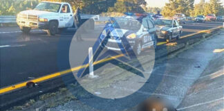 Ubican sin Vida a un Hombre en el Libramiento Apizaco - AlternativaTlx