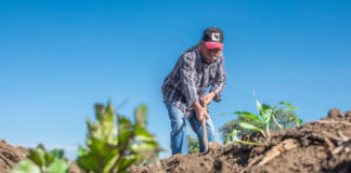 Últimos Días para Participar en el Censo Agropecuario 2022 en Huamantla - AlternativaTlx