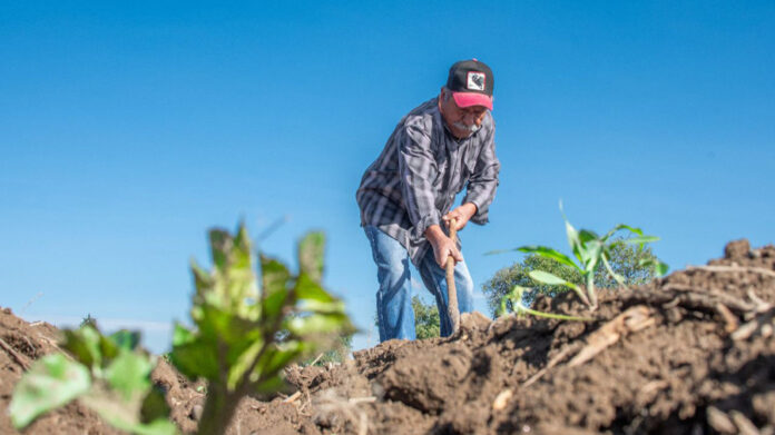 Últimos Días para Participar en el Censo Agropecuario 2022 en Huamantla - AlternativaTlx