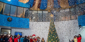 Encienden Árbol Navideño en la Universidad Metropolitana de Tlaxcala - AlternativaTlx