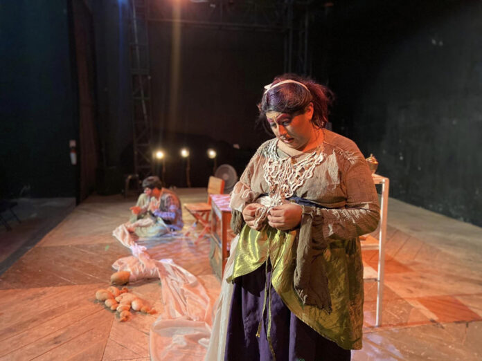 Puercoespines Teatro busca Conectar con su Público a través de Historias Sobre la Vida y la Comedia - AlternativaTlx